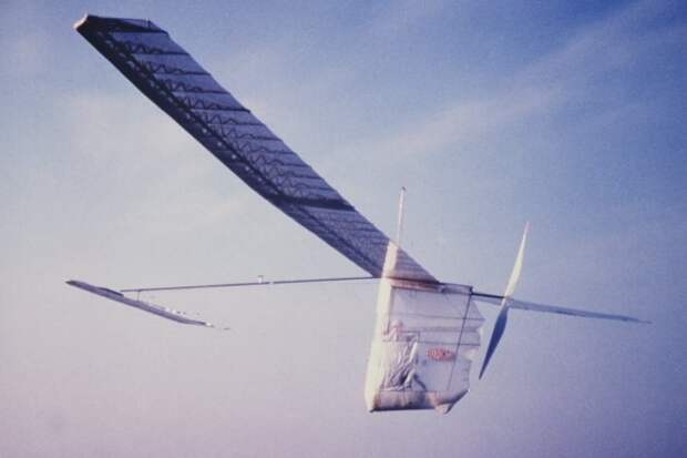 Albatross Albatross