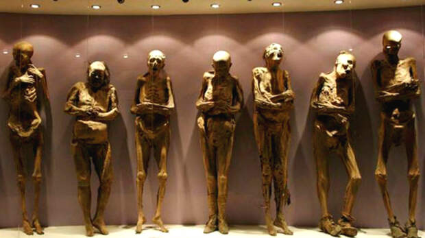 Зачем во времена Средневековья европейцы ели египетские мумии