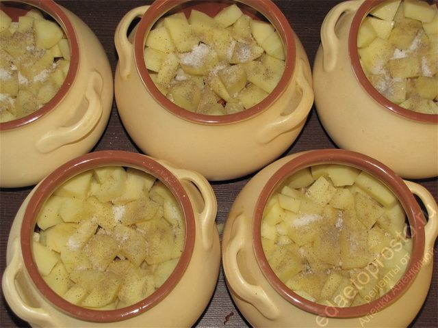 Посолить и поперчить. пошаговое фото этапа приготовления картошки с мясом в горшочках