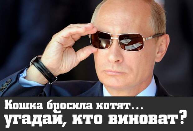 ЮЛИЯ ВИТЯЗЕВА: КОШКА БРОСИЛА КОТЯТ — УГАДАЙ КТО ВИНОВАТ? ЮЛИЯ ВИТЯЗЕВА: КОШКА БРОСИЛА КОТЯТ — УГАДАЙ КТО ВИНОВАТ?