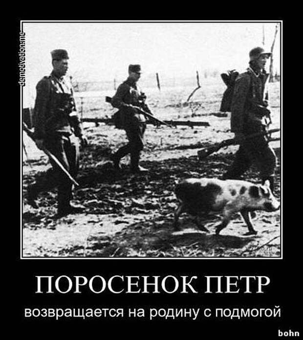 Порошенко: На Украину прибывает военная подмога из Польши, Канады и Литвы Порошенко: На Украину прибывает военная подмога из Польши, Канады и Литвы