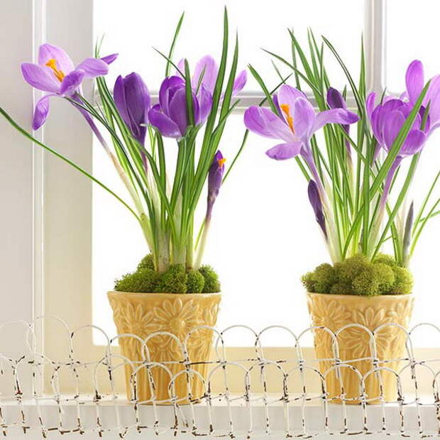 spring-flowers-creative-vases5-1-1