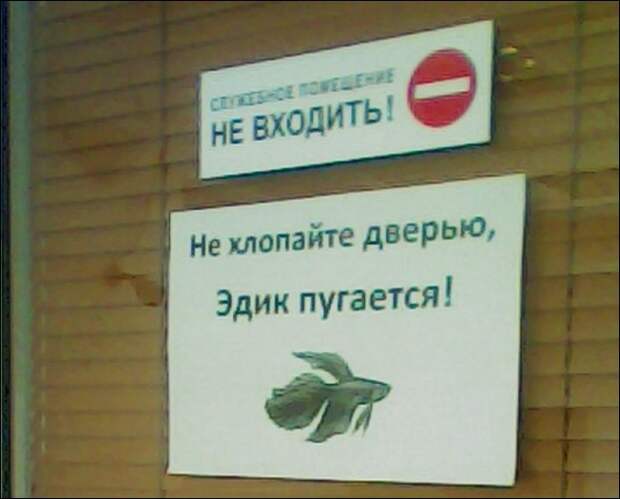 Прикольные надписи и объявления надписи, объявления, прикол, юмор