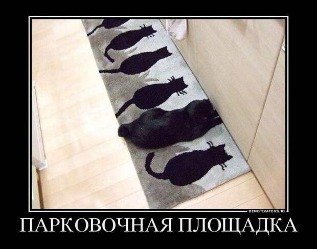 Лучшие демотиваторы дня