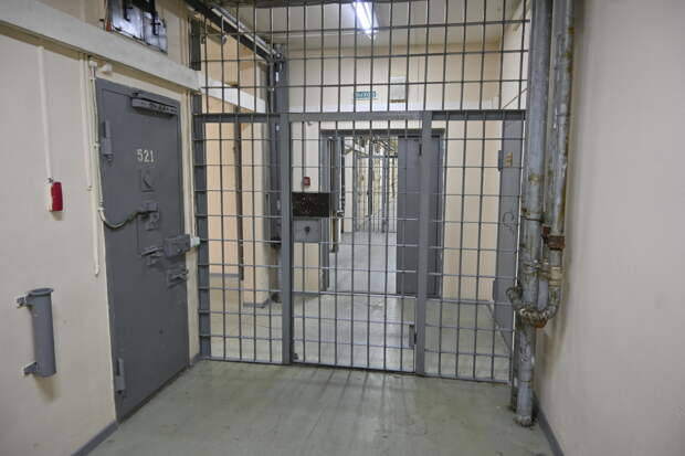 Суд решил судьбу вымогавшего 15 тысяч долларов у политика российского медиаменеджера