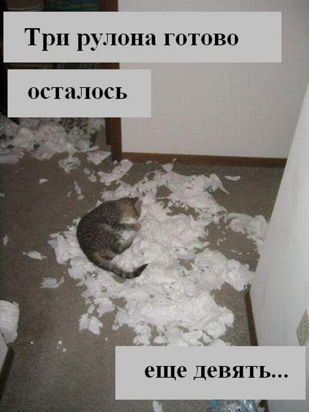 Мысли :) (50мыслей)