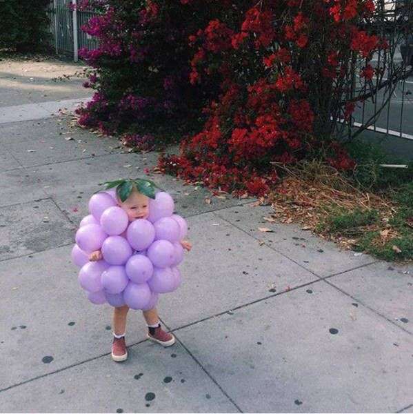 Забавная подбрка фотографий Забавная подбрка фотографий