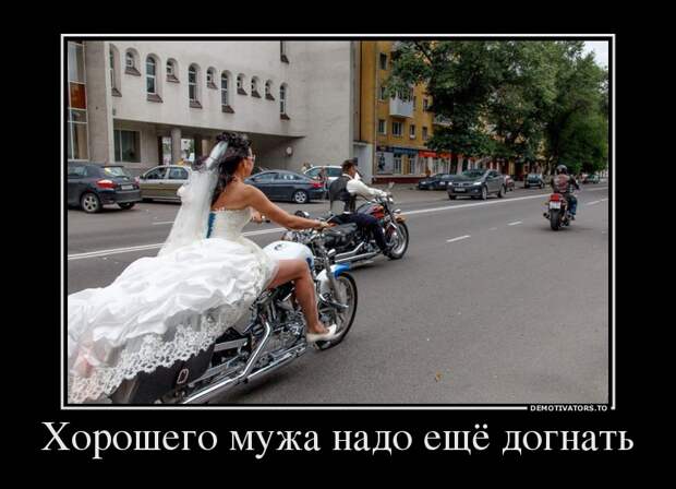 Демотиваторы (51 фото) 
