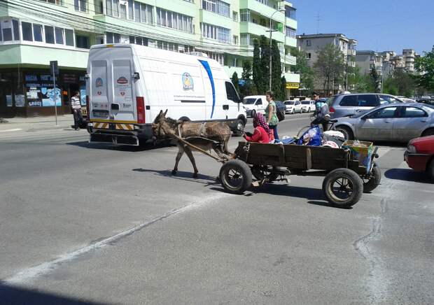 Фотоподборка за 05.06.2014 интересное, фото