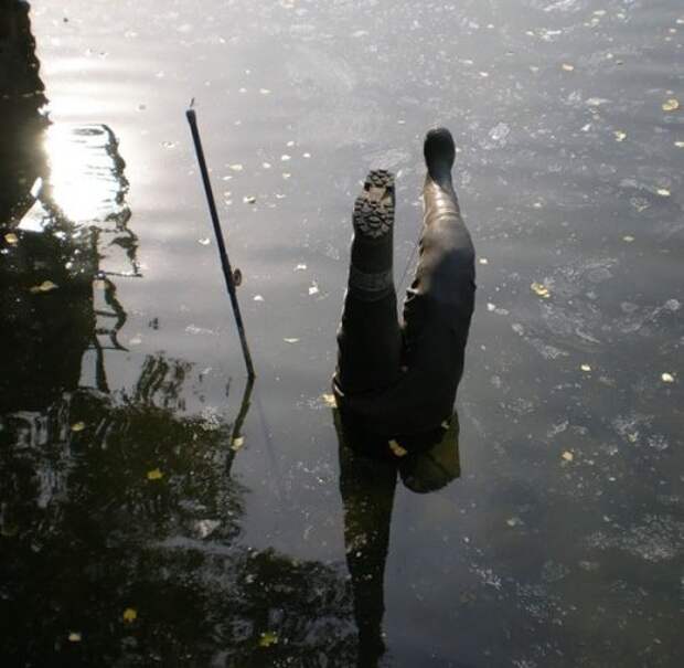 Приколы Приколы