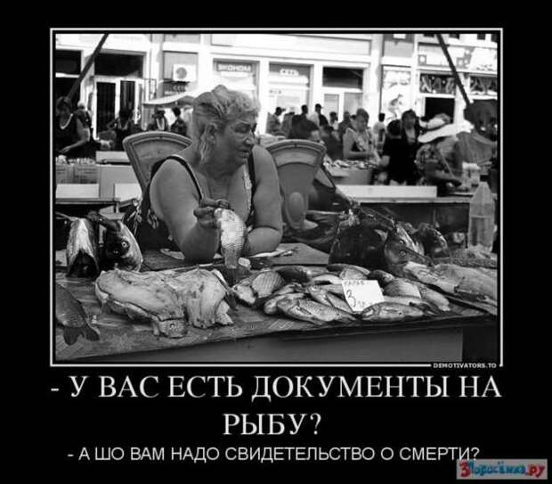 Демотиваторы. Подборка chert-poberi-chert-poberi-58490425032020-7 картинка chert-poberi-58490425032020-7
