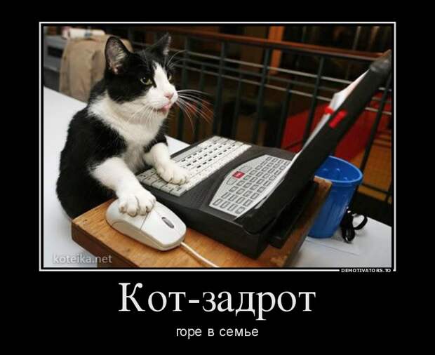Демотиваторы  демотиваторы, прикол, смех, юмор