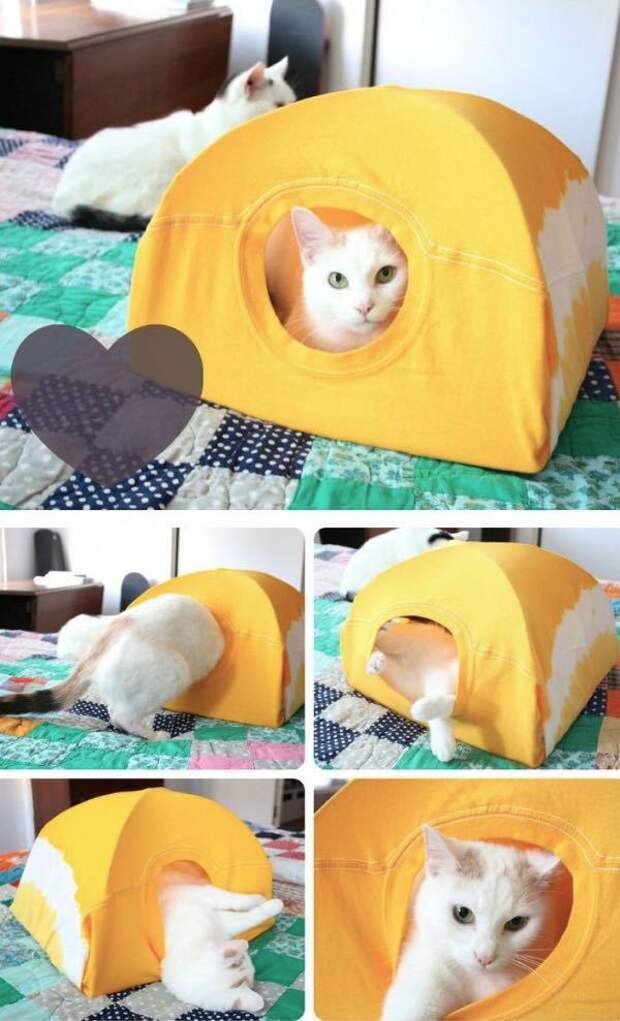 домик для кота