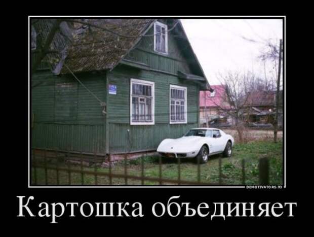 Демотиваторы-приколы для хорошего настроения (14 шт)
