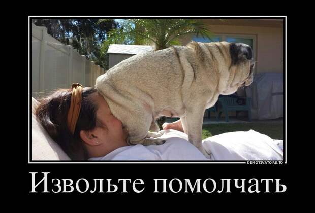 Демотиваторы демотиваторы, прикол, смех, юмор
