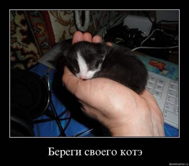 Демотиваторы смешные.