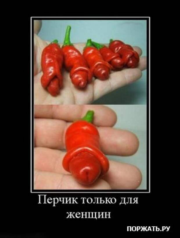 Демотиваторы по русски, но разве это не прикольно?:)