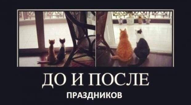 Свежие демотиваторы-приколы (14 шт)