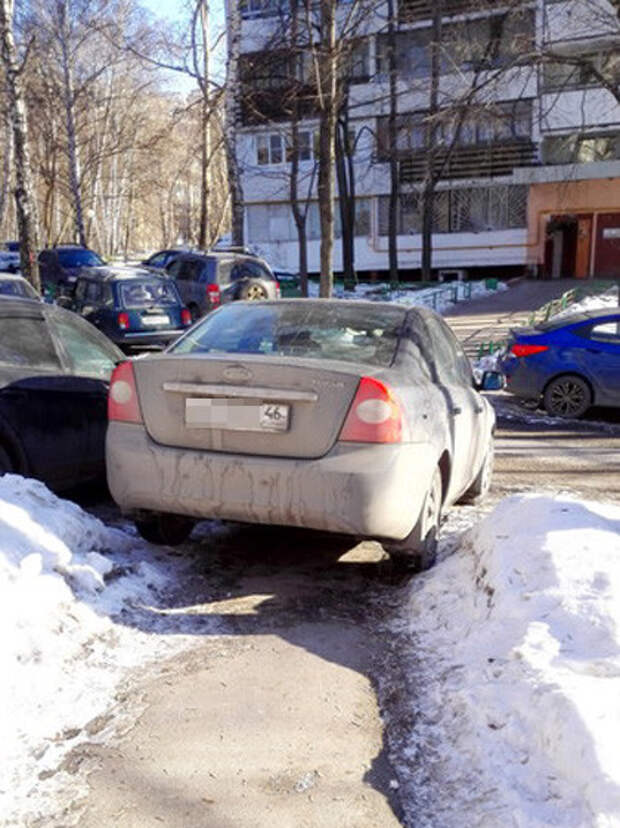 Мастера парковки автохам, быдло, парковка, хамство