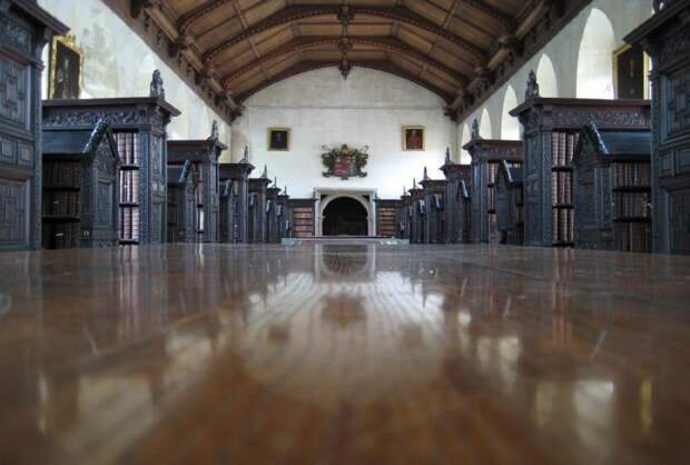 magnifique-bibliotheque-26