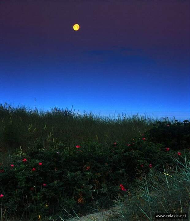 Andris_Eglitis_006