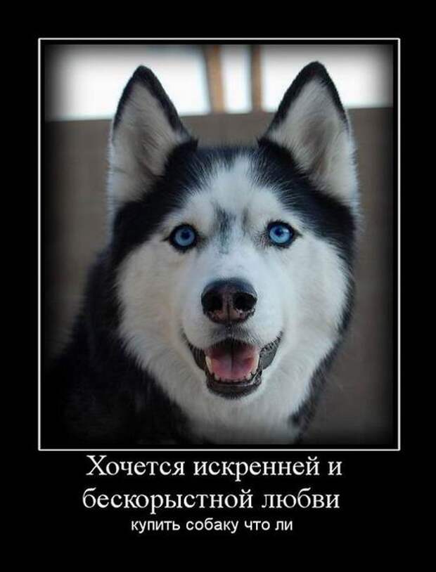 Я Хочу Любить Купить