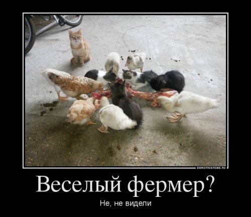Немного прикольных демотиваторов Немного прикольных демотиваторов