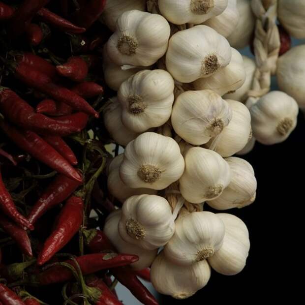 garlic health 3