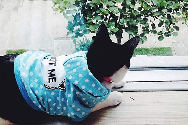 Moving2bangkok10 Как переехать в Бангкок и почему не на остров: личный опыт