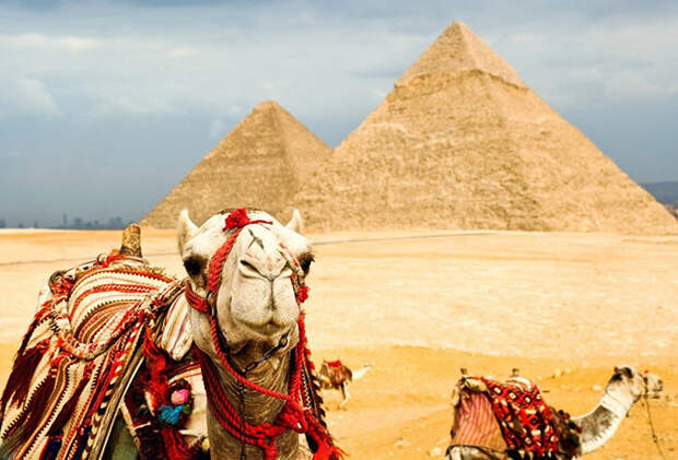 Египет в мире, обман, турист
