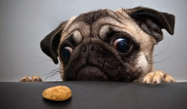 Вот это взгляд Вот это взгляд