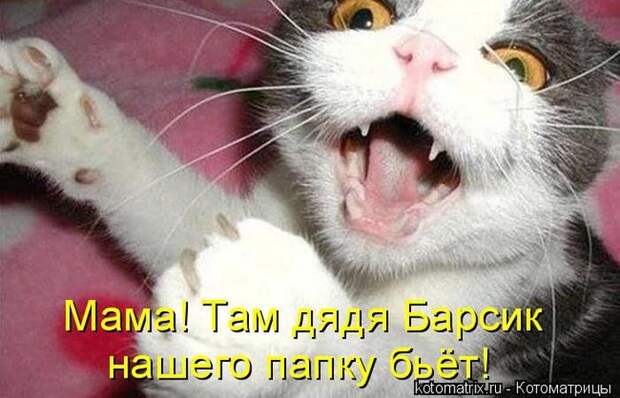 Мысли вслух :)