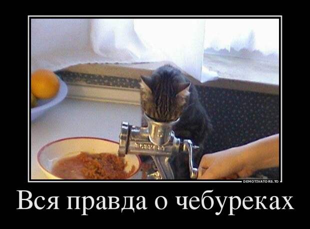 Демотиваторы Демотиваторы бревно, демотиваторы, юмор