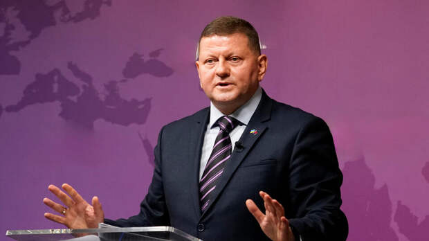 На Украине рассказали о попытке СБУ убить Залужного