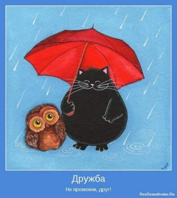 Картинки мотиваторы интересные цитаты.
