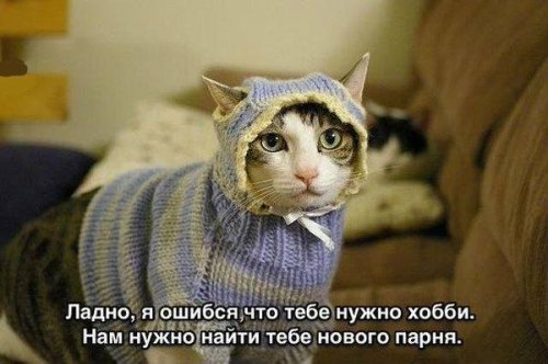 Прикольные фотомемы (36 шт)