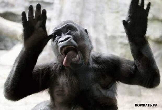 Фотоприколы с вконтакте.