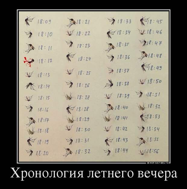 Подборка демотиваторов  демотиватор, юмор