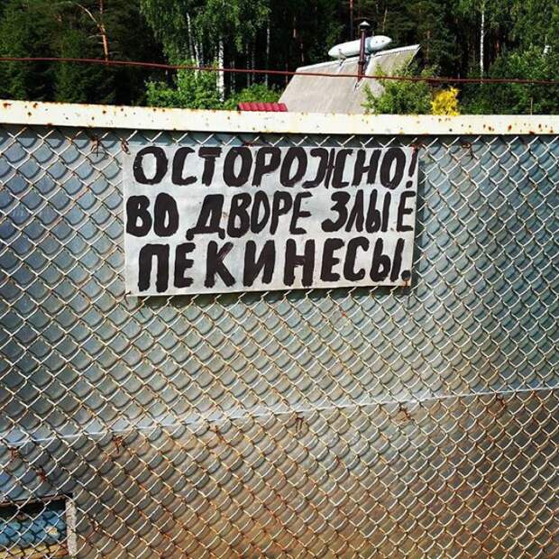 забавные вывески и предупреждения на заборах 