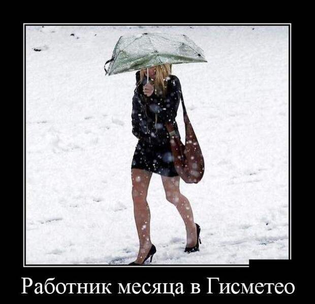 Демотиваторы бревно, демотиваторы, юмор