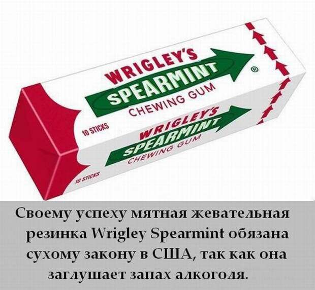 Интересные факты в картинках