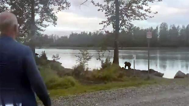 Дмитриев рассказал о встрече с медведем на Аляске перед саммитом США и РФ