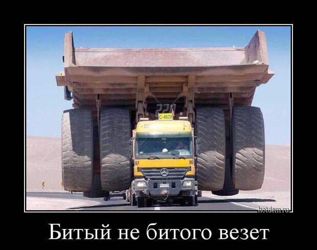 Демотиваторы демотиваторы, прикол, смех, юмор