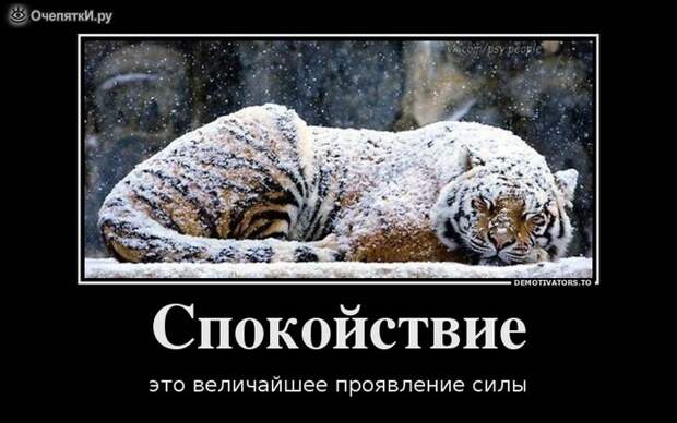 Весна неизбежна? 34