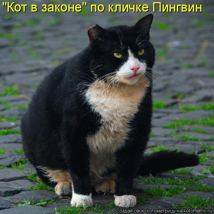 Мысли вслух :)