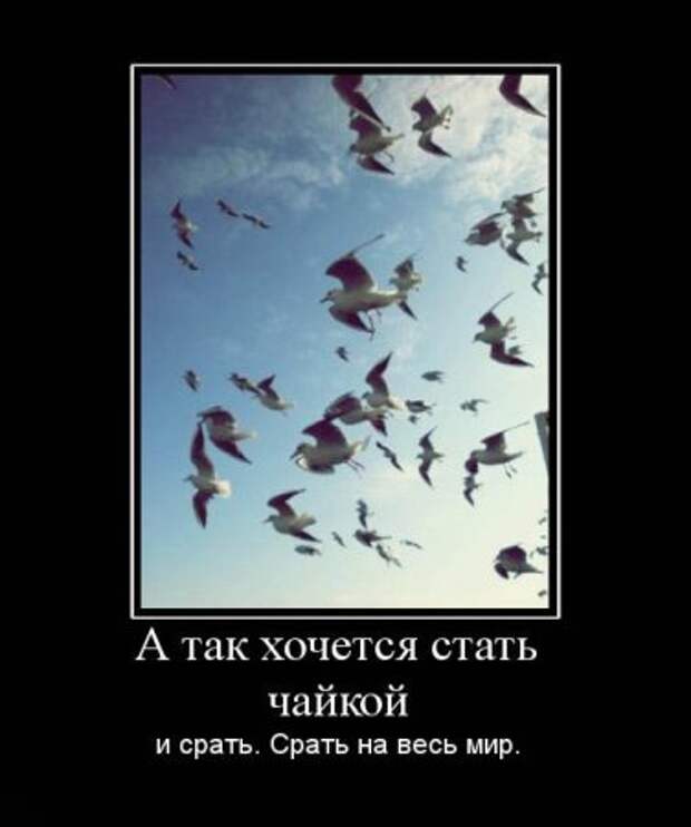 Демотиваторов подборка смешная!