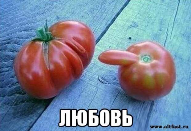 Смешные картинки Смешные картинки