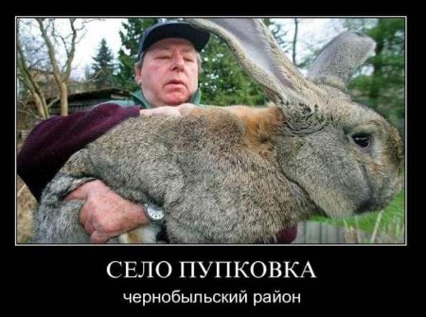 Новые смешные демотиваторы.
