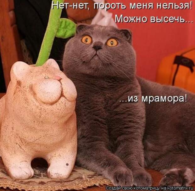 Котоматрица