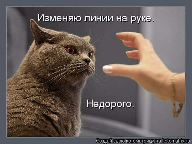 1429823359_37 (700x525, 218Kb)